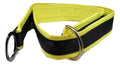 6 Ft Anchorage/Tie-Off D-Ring & D-Ring | 96590D-6