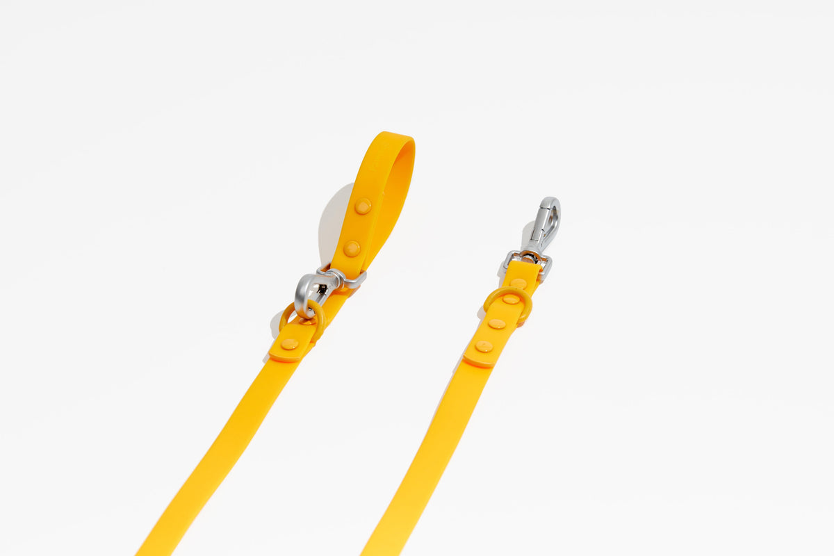 Luxe Leash - Soleil