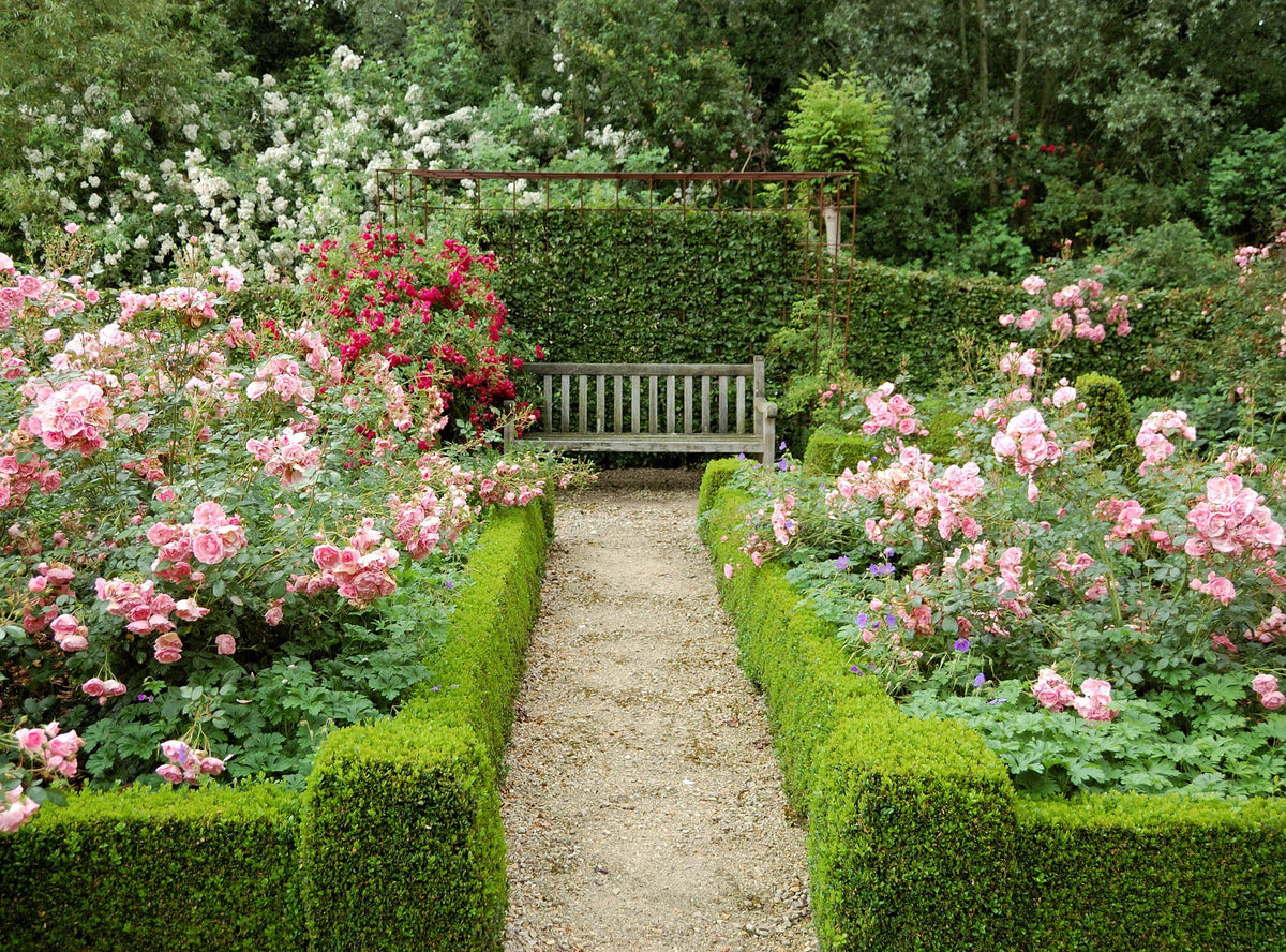 English Garden Soy Candle – Elegant Floral Scent | Mam Jam’s