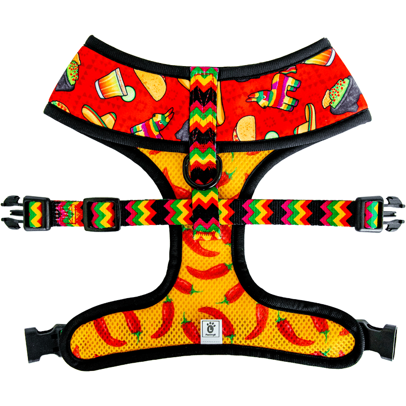 Taco Tuesday Reversible Harness