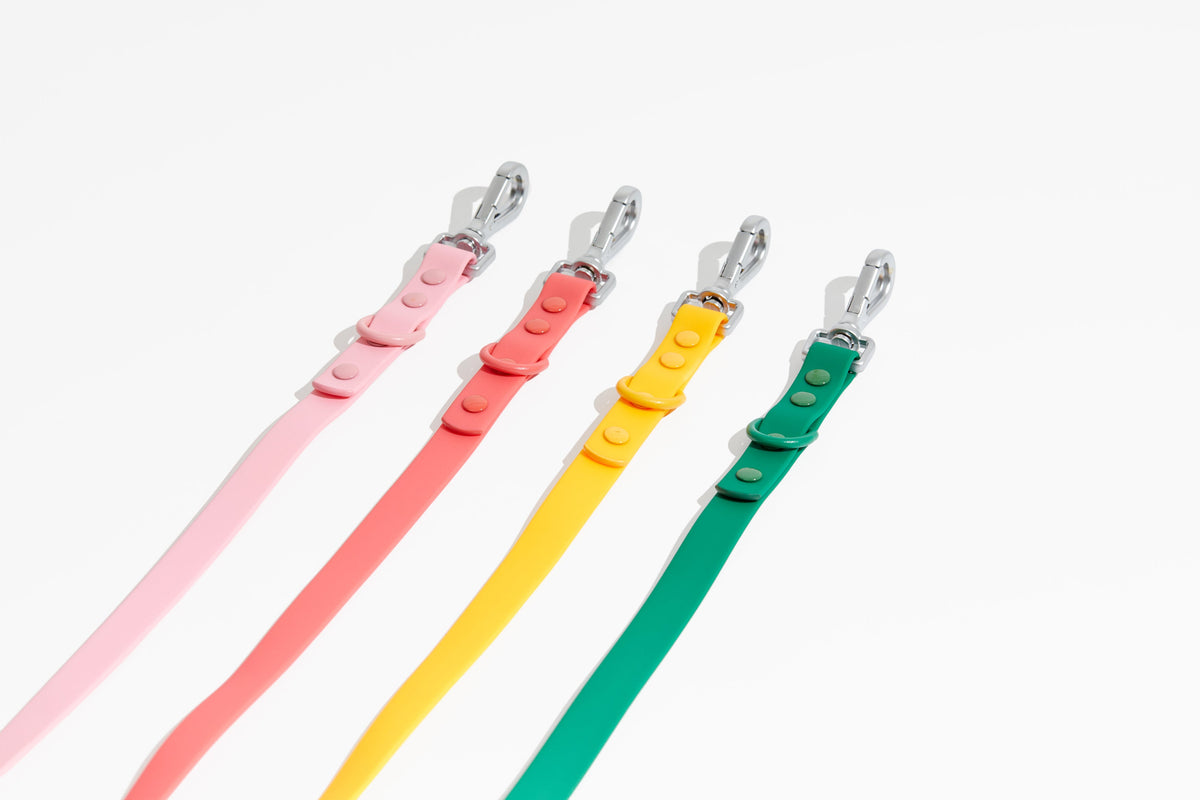 Luxe Leash - Soleil