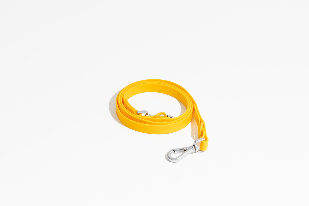 Luxe Leash - Soleil